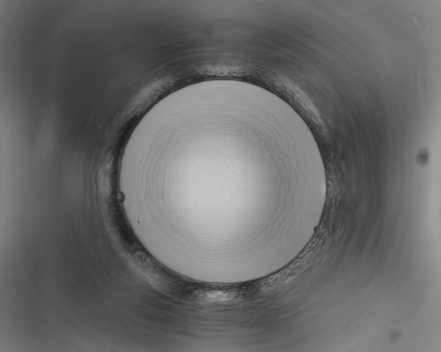 X0000116640163201001111215