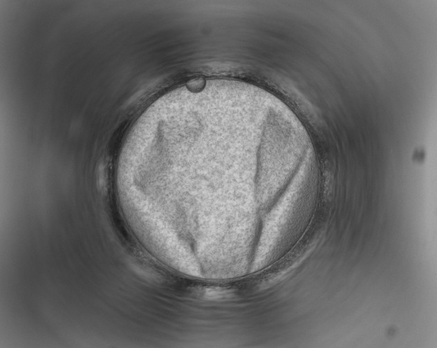 X0000116640165201001111215