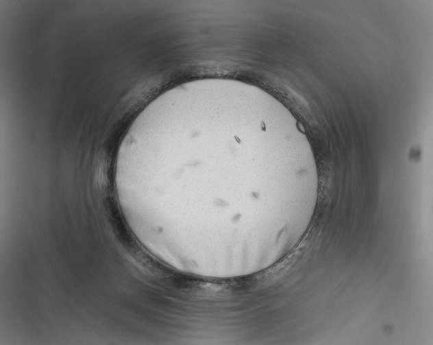 X0000116640166201001111215