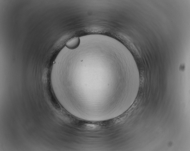 X0000116640167201001111215