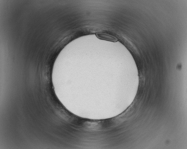 X0000116640170201001111215