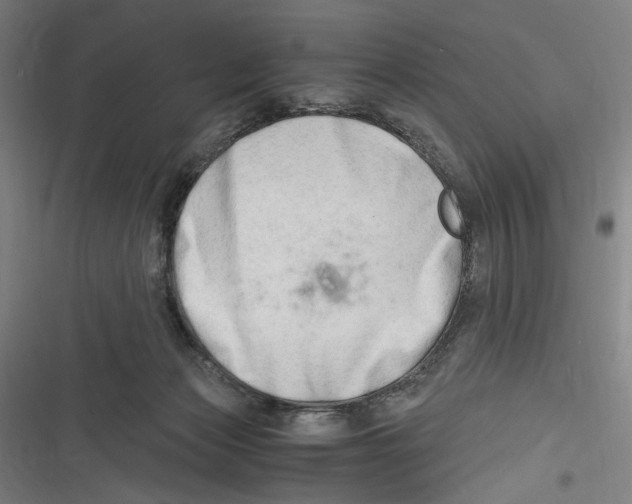 X0000116640173201001111215