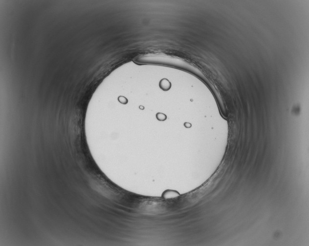 X0000116640174201001111215