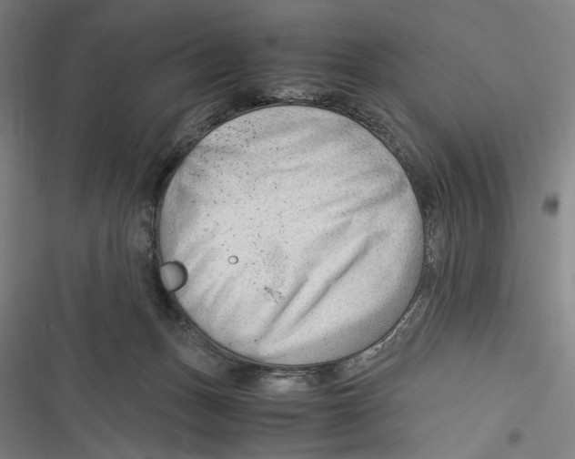 X0000116640175201001111215