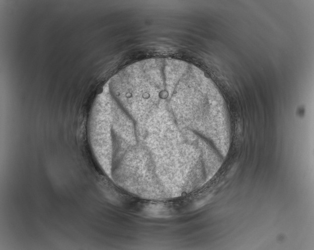 X0000116640177201001111216