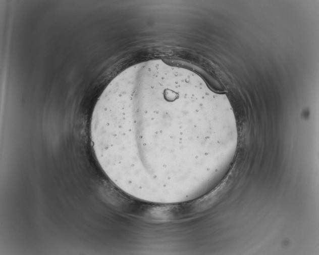 X0000116640178201001111216