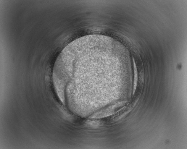 X0000116640181201001111216