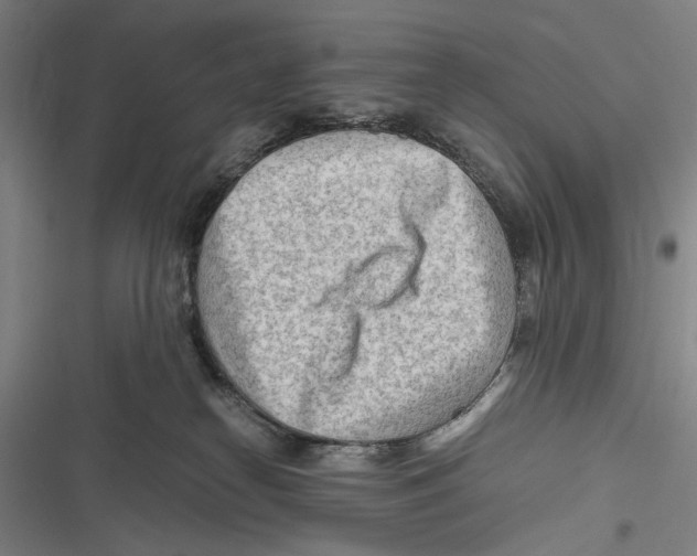 X0000116640182201001111216