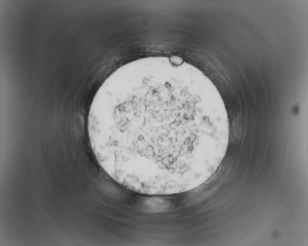 X0000116640183201001111216