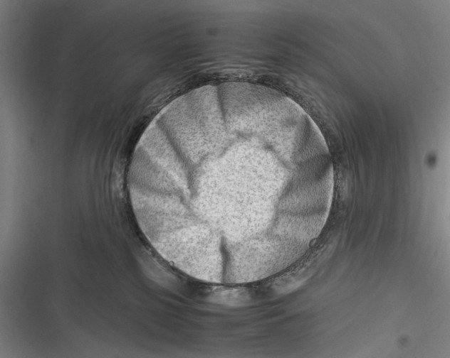 X0000116640185201001111216