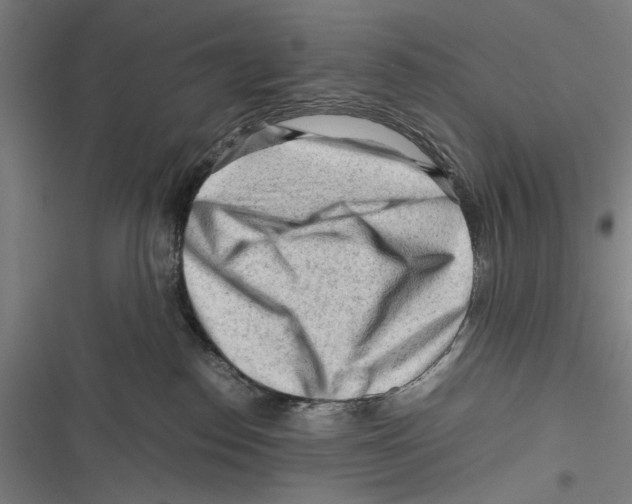 X0000116640186201001111216