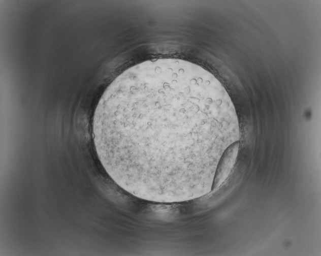 X0000116640187201001111216