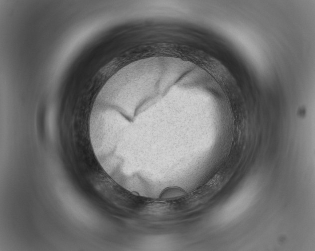 X0000116640189201001111216