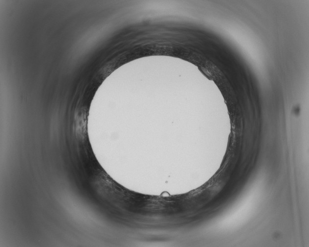 X0000116640190201001111216