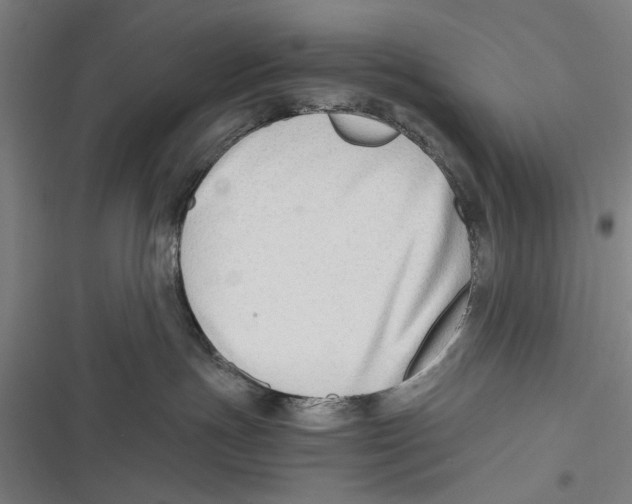 X0000116640191201001111216