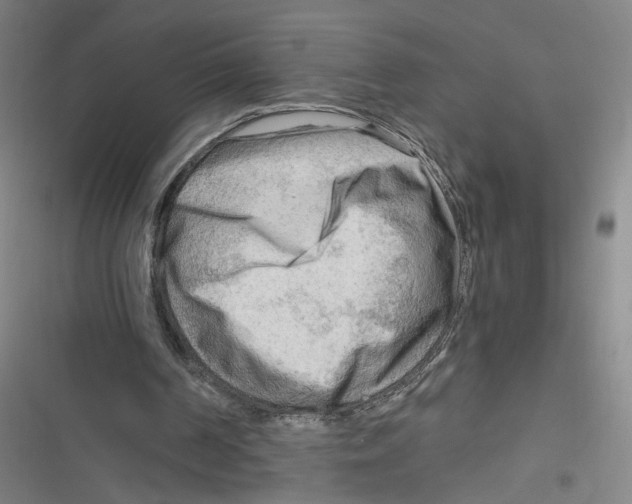 X0000116640194201001111215