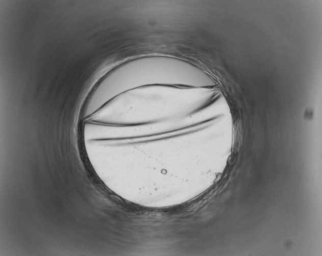 X0000116640195201001111215