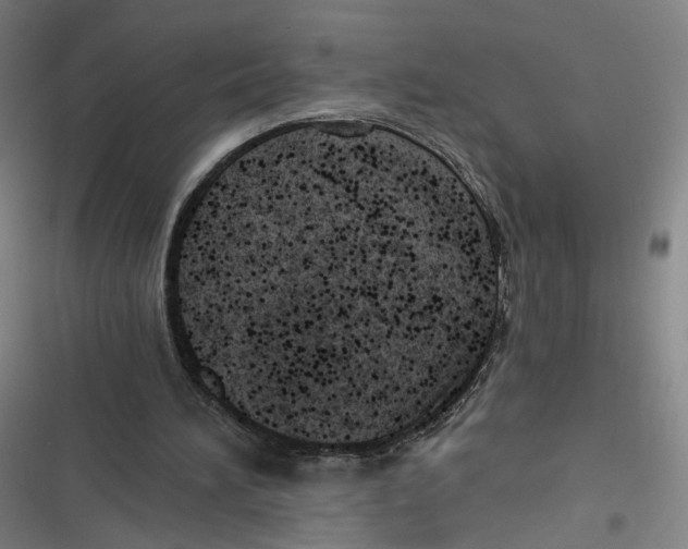 X0000116640196201001111215