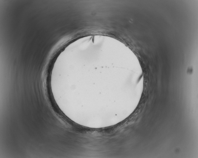 X0000116640197201001111215