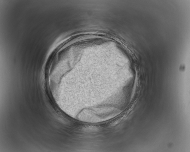 X0000116640198201001111215