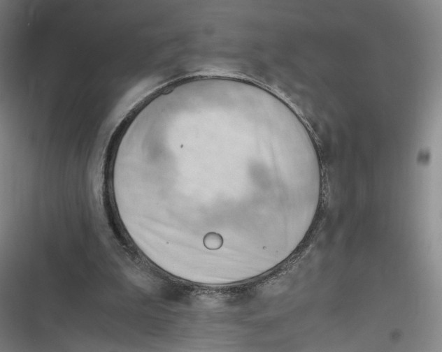 X0000116640199201001111215