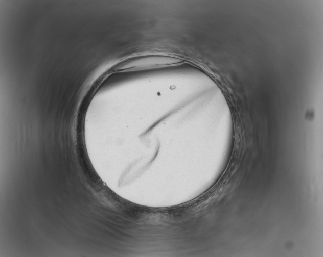 X0000116640200201001111215