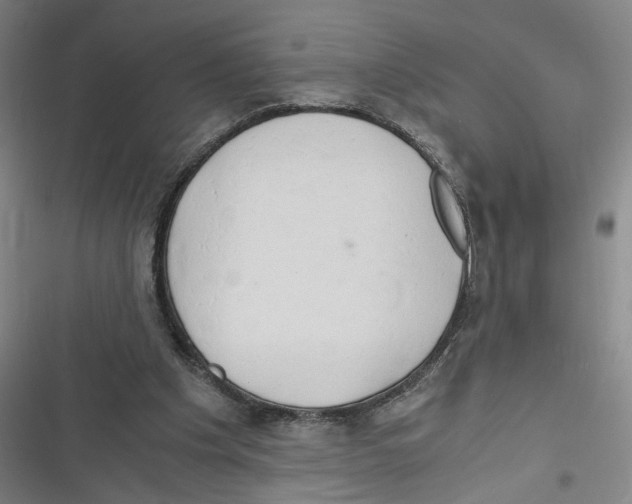 X0000116640201201001111215