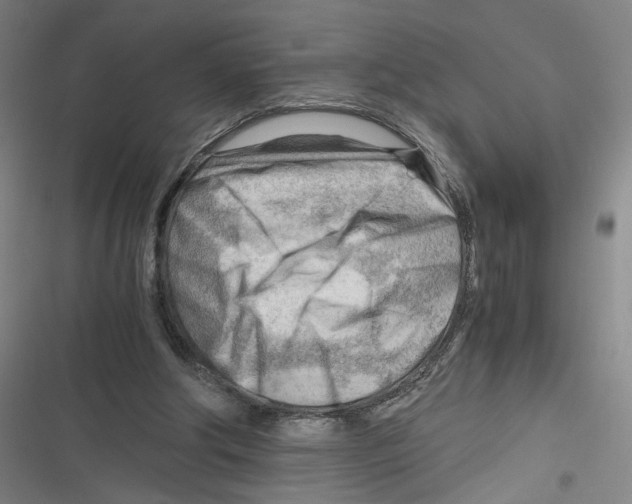 X0000116640202201001111215