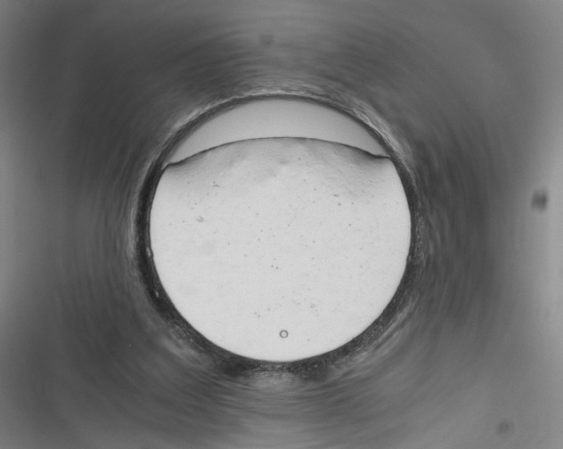 X0000116640203201001111215