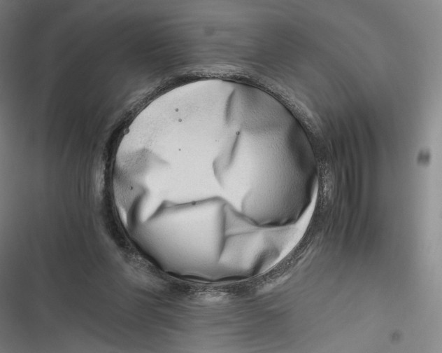 X0000116640206201001111215