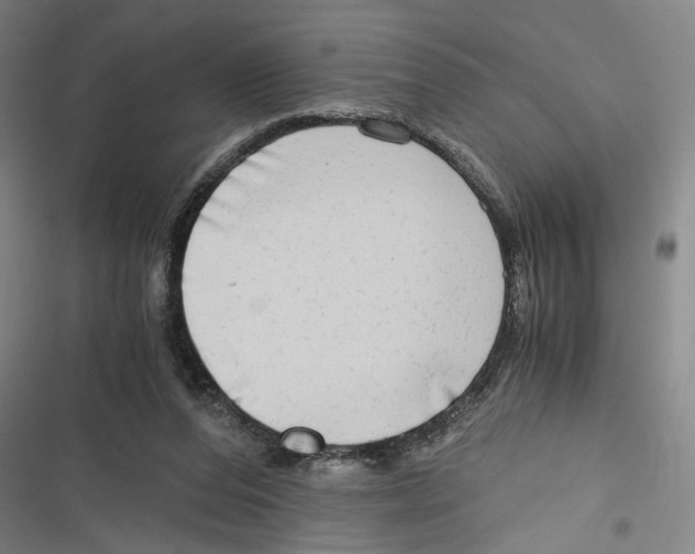 X0000116640208201001111215