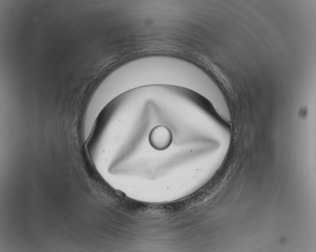 X0000116640209201001111215