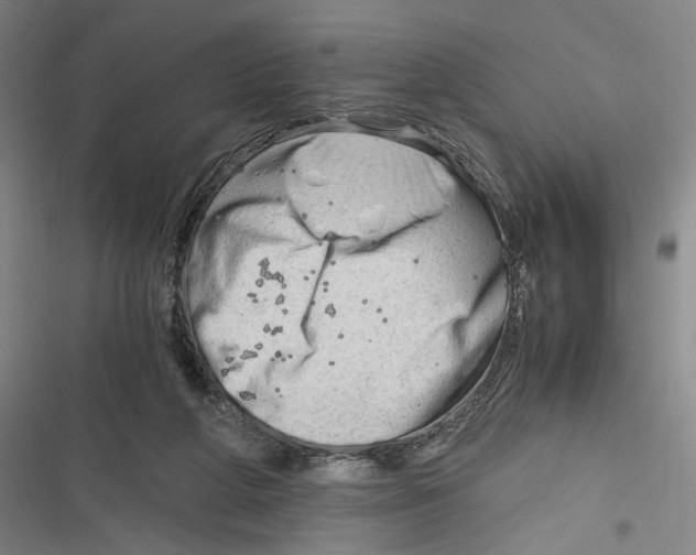 X0000116640210201001111215