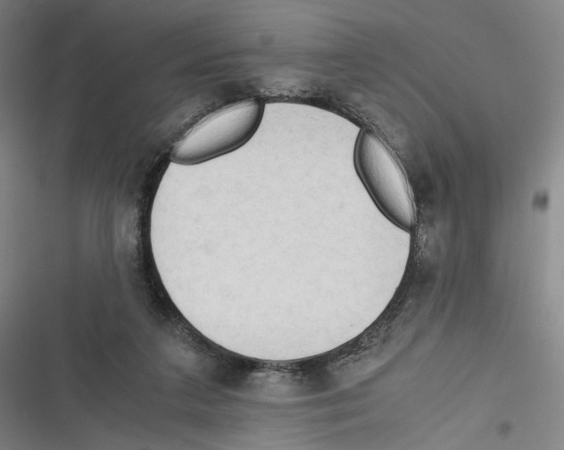 X0000116640211201001111215