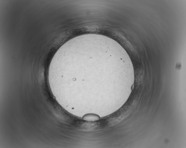 X0000116640213201001111215