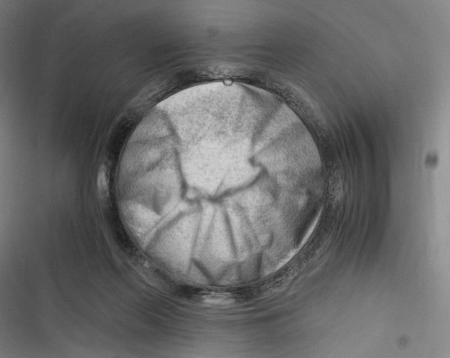 X0000116640214201001111215