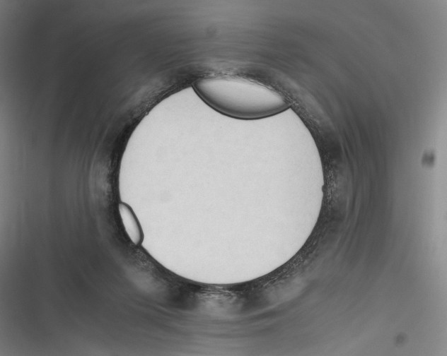 X0000116640215201001111215