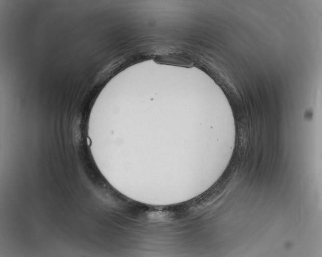 X0000116640216201001111215