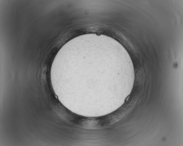 X0000116640217201001111215