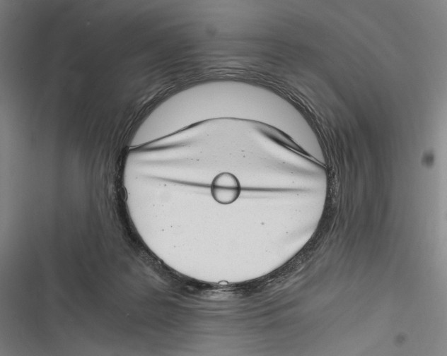 X0000116640219201001111215