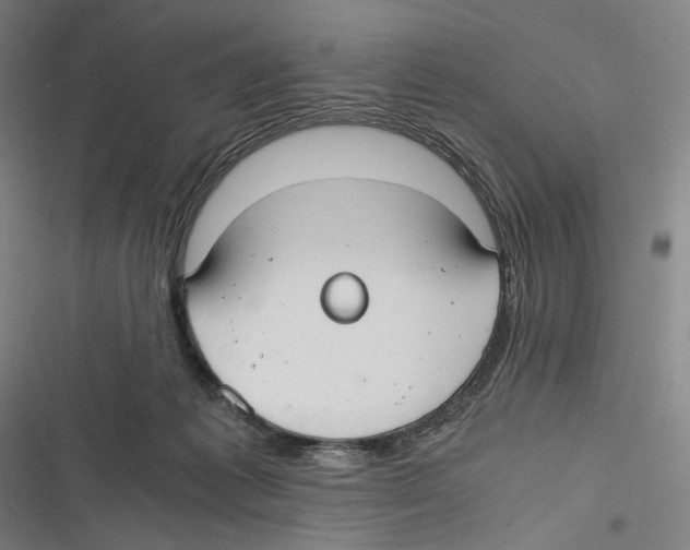 X0000116640221201001111215