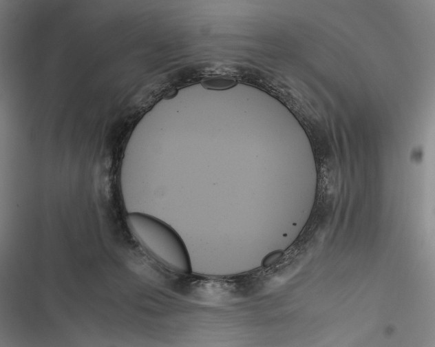 X0000116640223201001111215