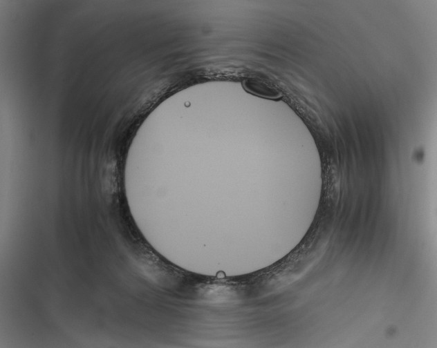 X0000116640224201001111215