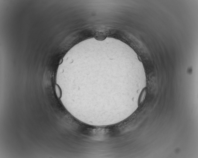 X0000116640225201001111215