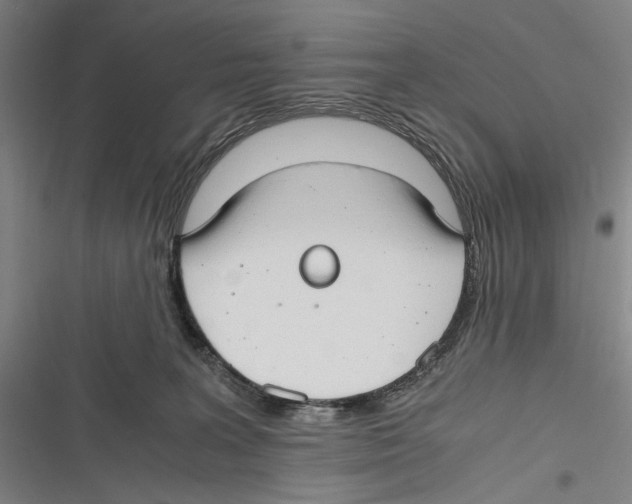 X0000116640227201001111215