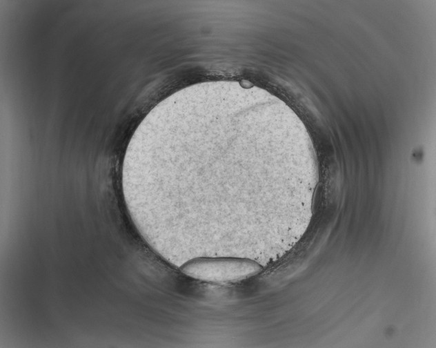 X0000116640229201001111215