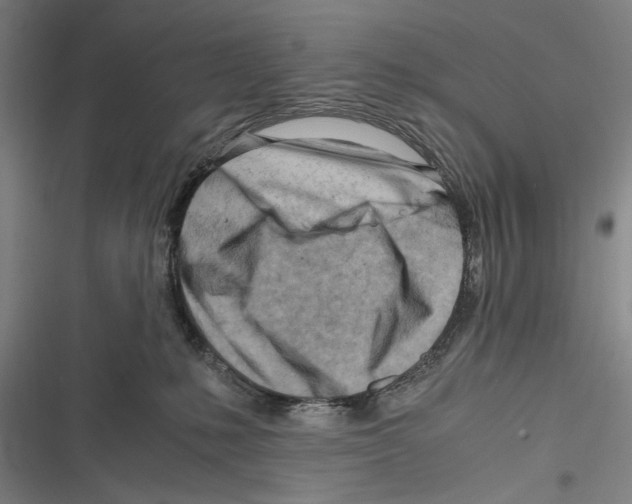 X0000116640231201001111215