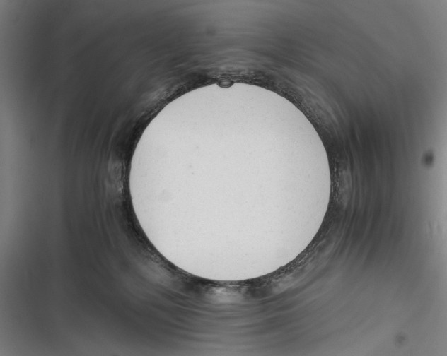 X0000116640232201001111215