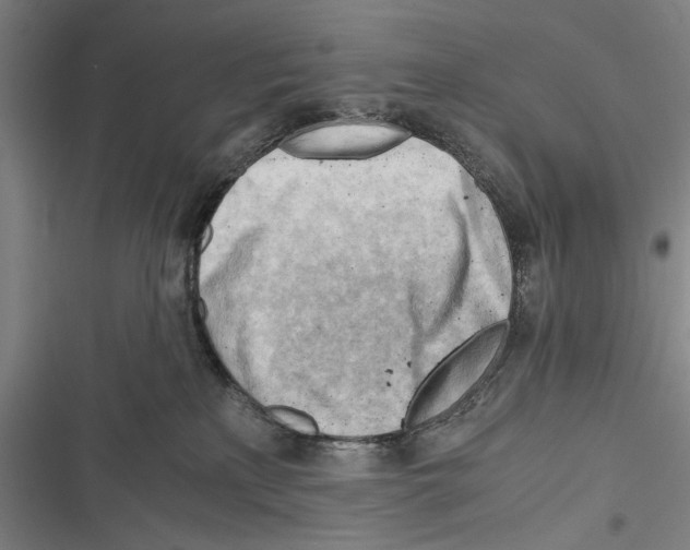 X0000116640233201001111215