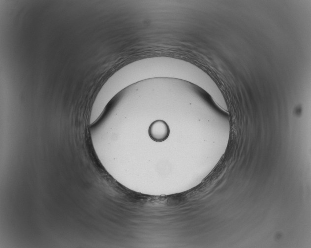 X0000116640235201001111214